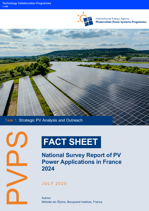 国家调查报告NSR法国2024
