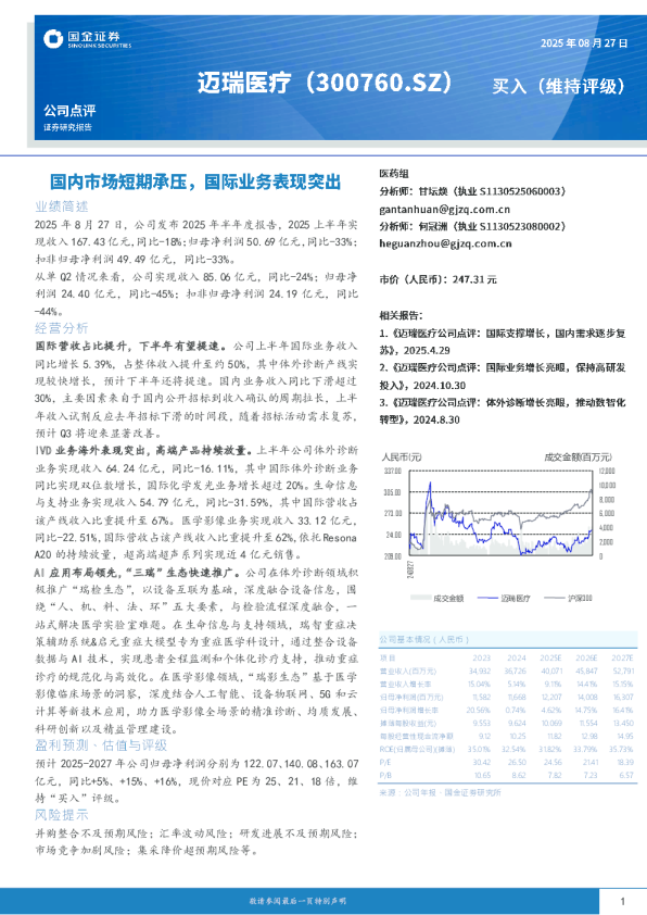 国内市场短期承压，国际业务表现突出