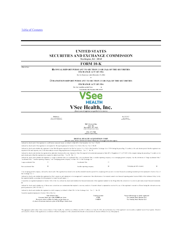 VSee Health：2024年度报告
