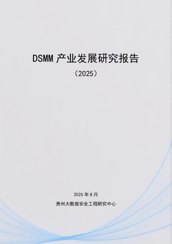 DSMM 产业发展研究报告
