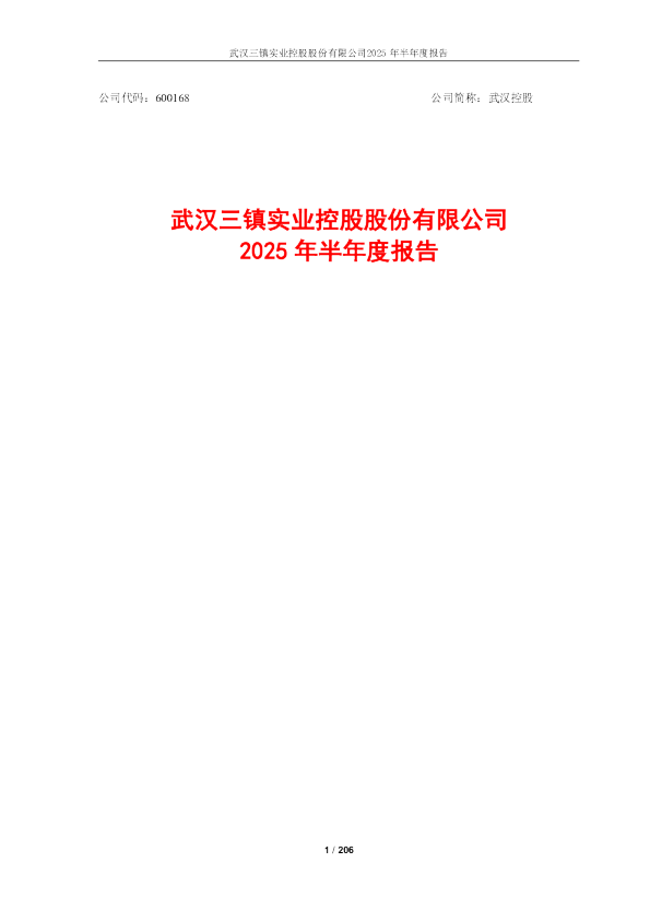 武汉控股：2025年半年度报告