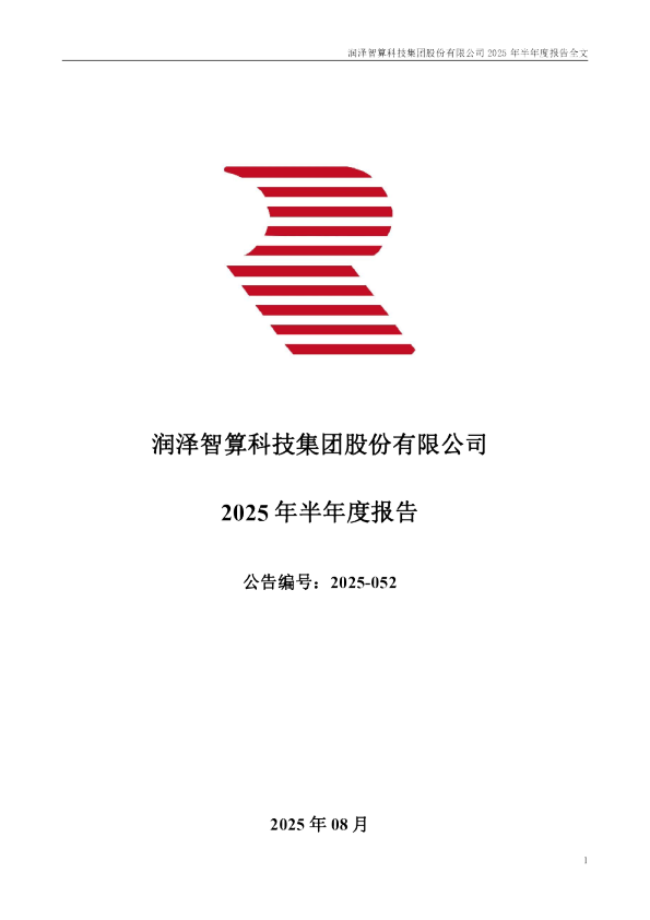润泽科技：2025年半年度报告