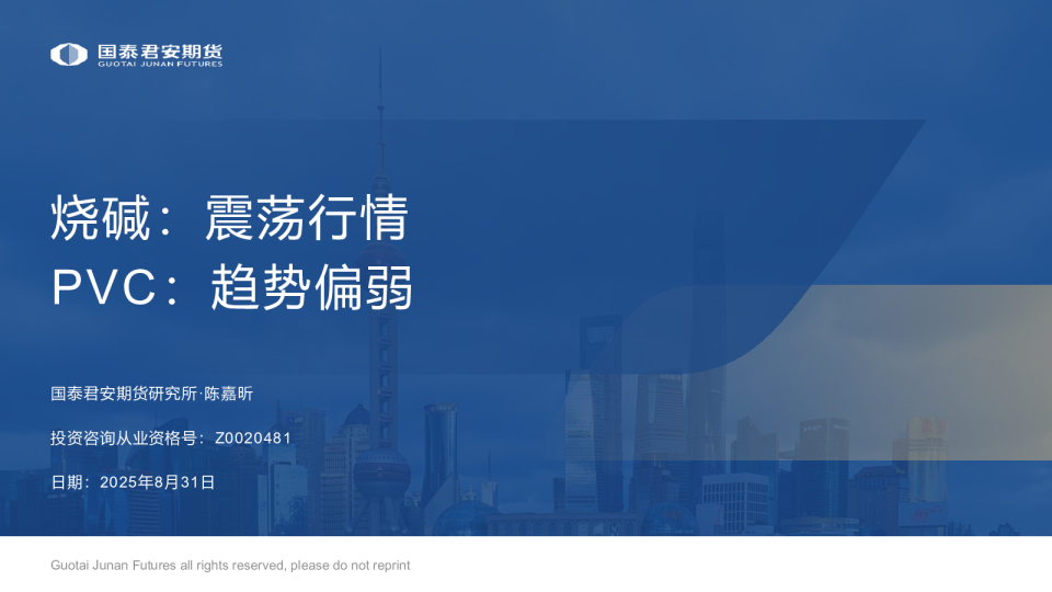 烧碱与PVC市场研究报告