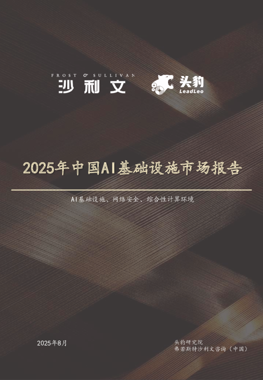 2025年中国AI基础设施行业市场报告