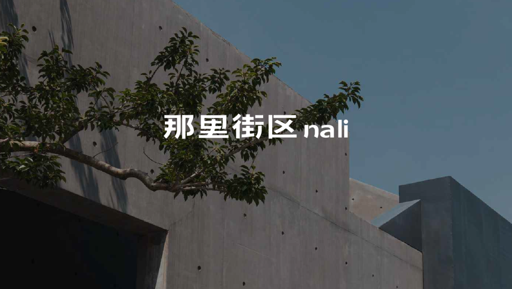 大理那里街区品牌手册