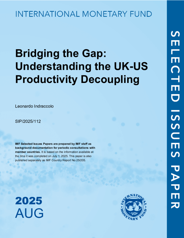 弥合差距：了解英美生产率脱钩