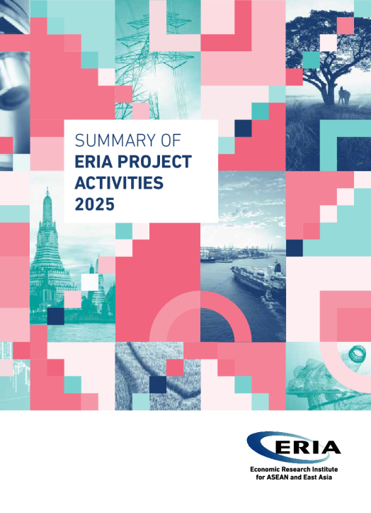 2025年ERIA项目活动总结