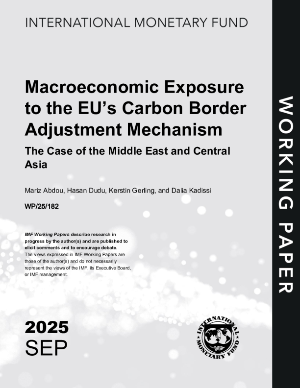 欧盟碳边界调整机制的宏观经济暴露：以中东和中亚为例（英）