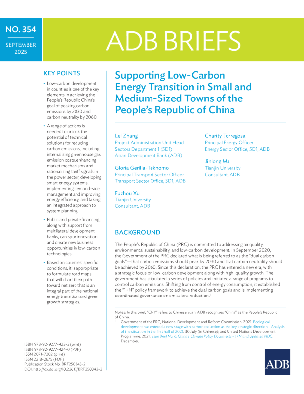 支持中华人民共和国中小城镇低碳能源转型（英）