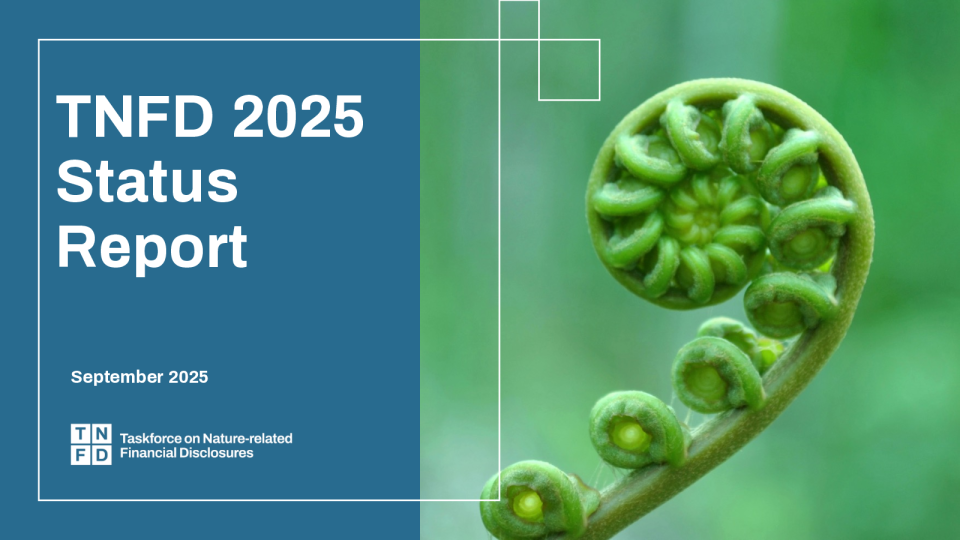 TNFD2025现状报告