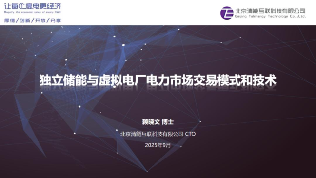 独立储能与虚拟电厂电力市场交易模式和技术