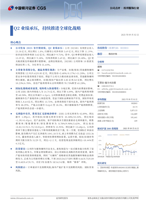 Q2业绩承压，持续推进全球化战略