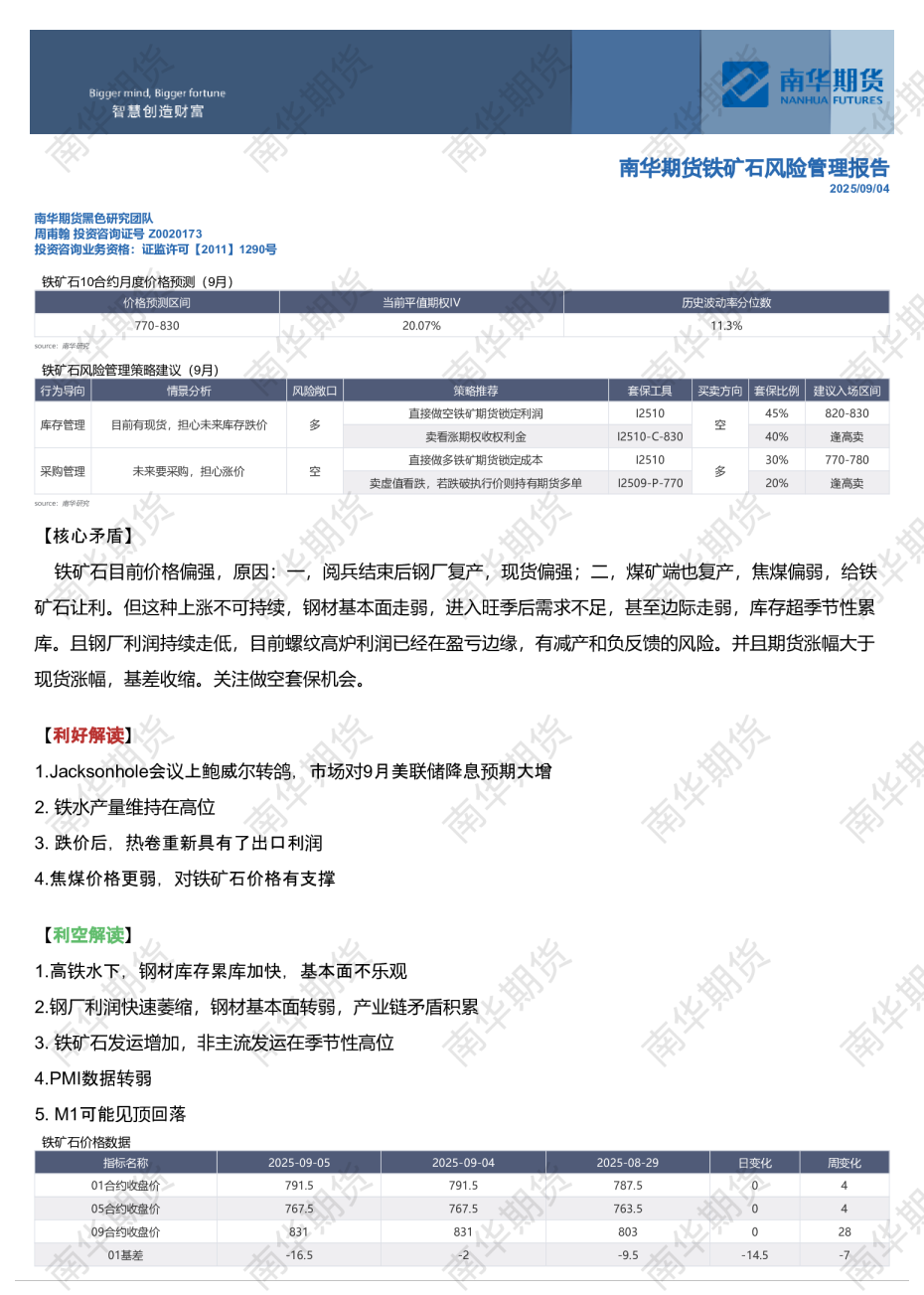 铁矿石风险管理报告