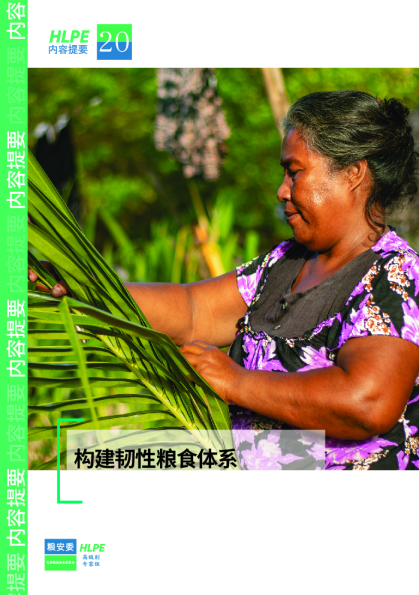 构建韧性粮食体系