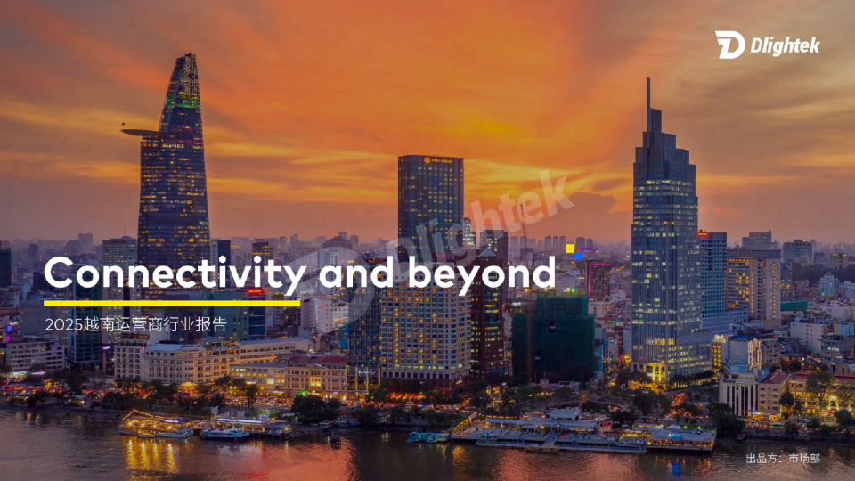 2025越南运营商行业报告