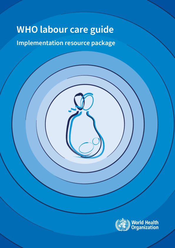 世界卫生组织劳工保健指南：实施资源包