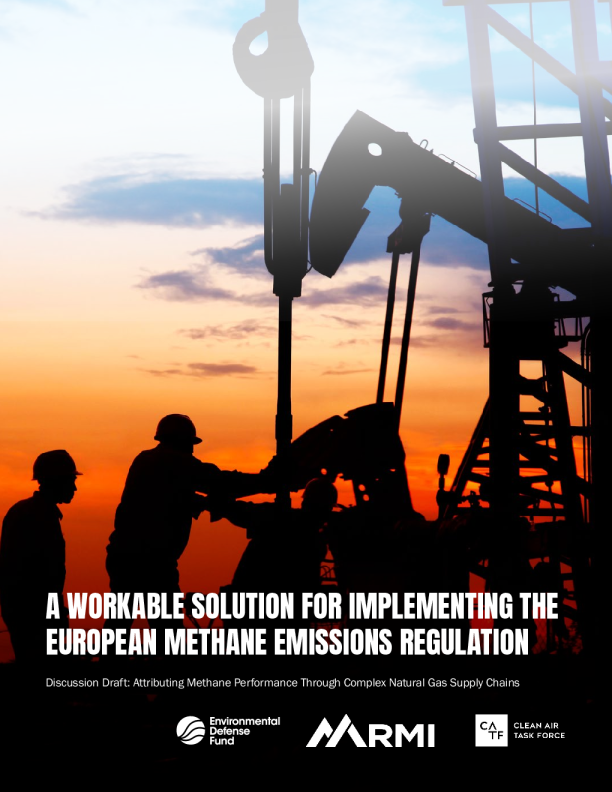 实施欧洲甲烷法规的可行解决方案