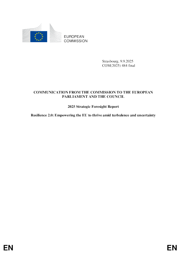 2025年战略展望报告