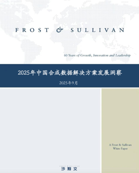 2025年中国合成数据解决方案发展洞察