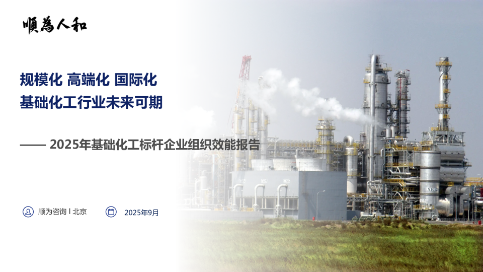 2025年基础化工标杆企业组织效能报告