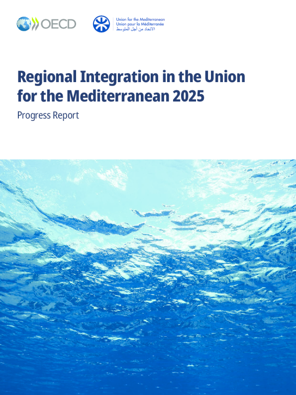 2025年地中海联盟区域一体化：进展报告