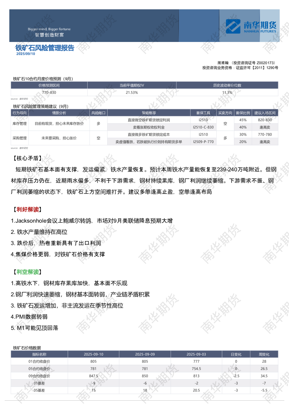 铁矿石风险管理报告