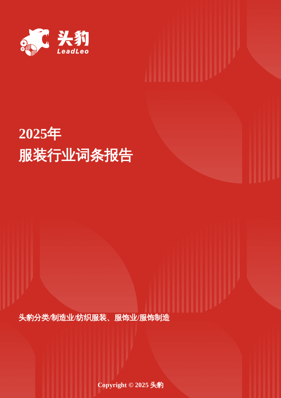 2025年服装行业词条报告