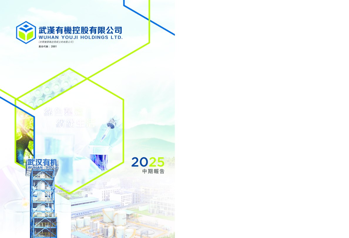 武汉有机2025中期报告