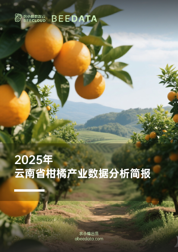 2025年云南省柑橘产业数据分析简报