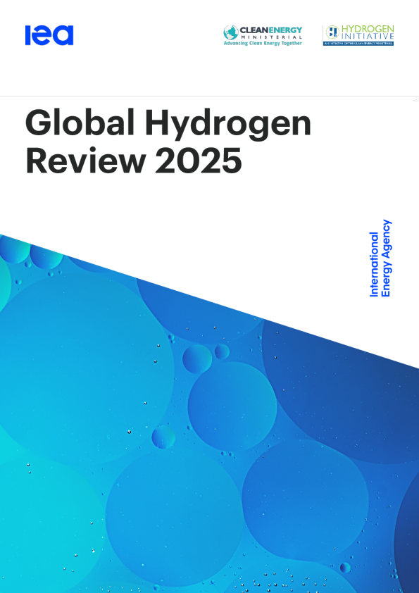 2025年全球氢能回顾