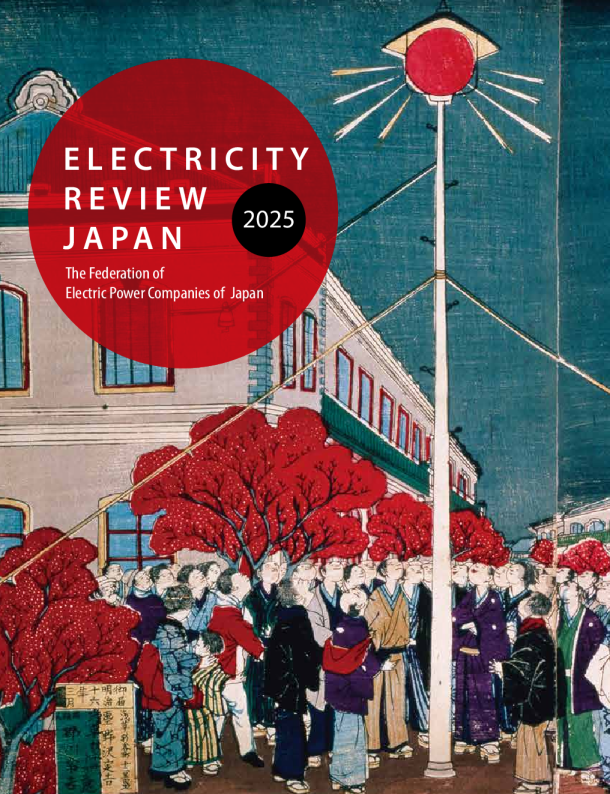 2025年日本电力回顾