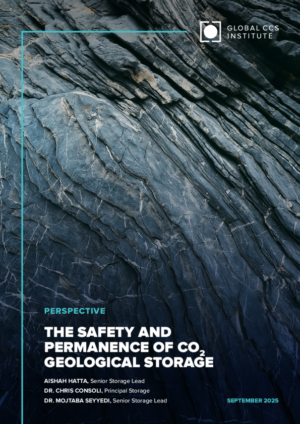 地质储量的安全性和永久性