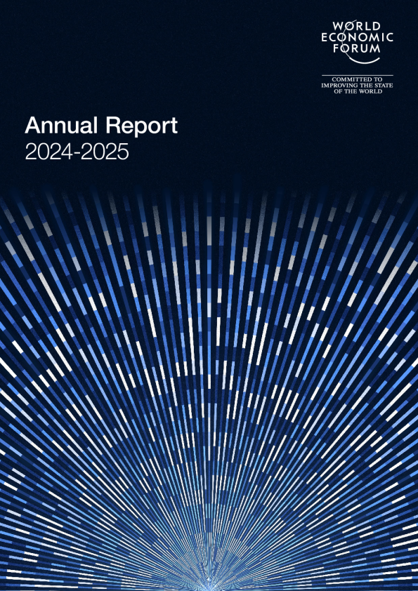 20242025年度报告（英）