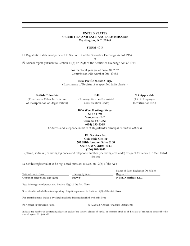 新太平洋金属有限公司2024年度报告