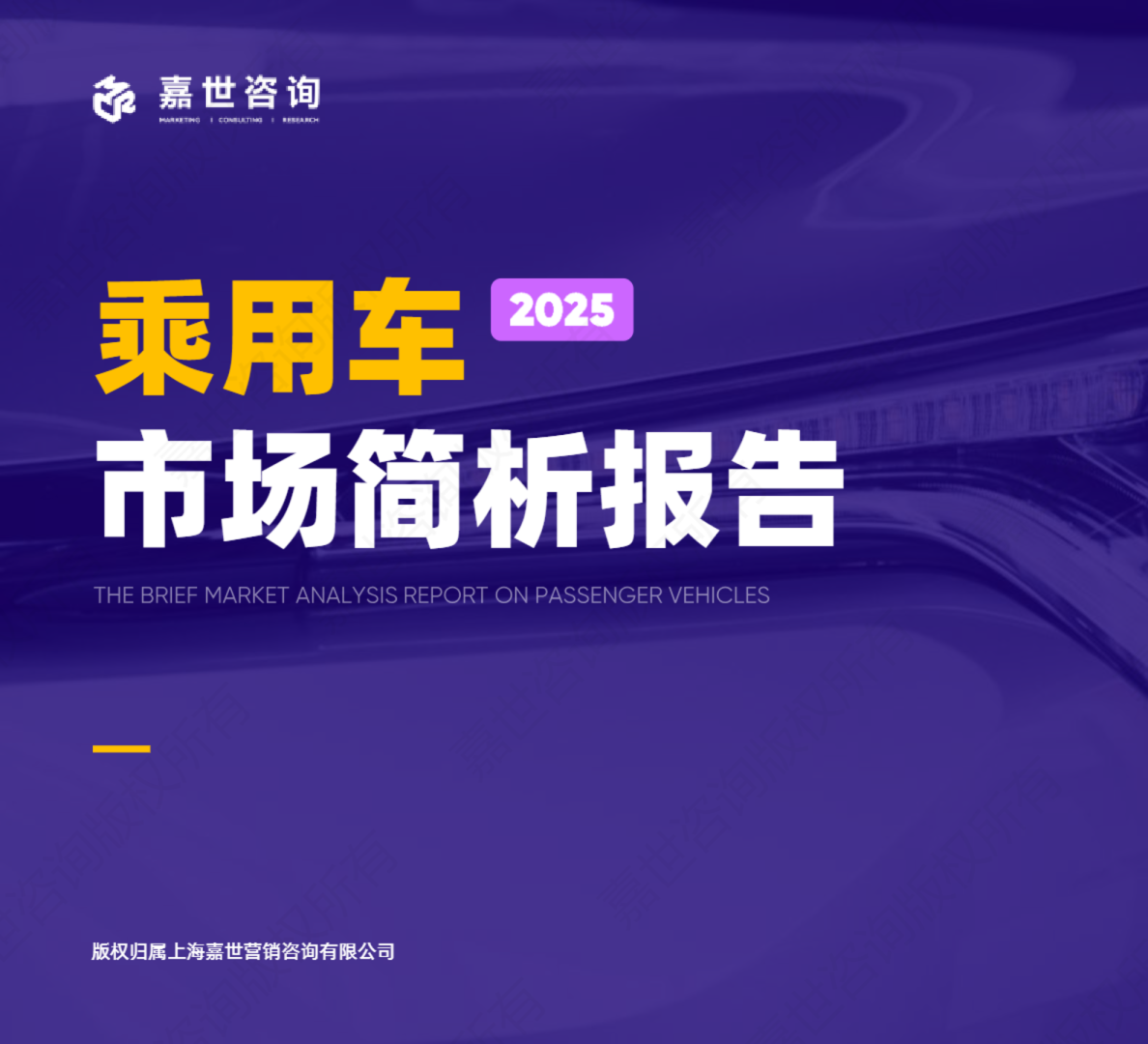 2025年乘用车市场简析报告