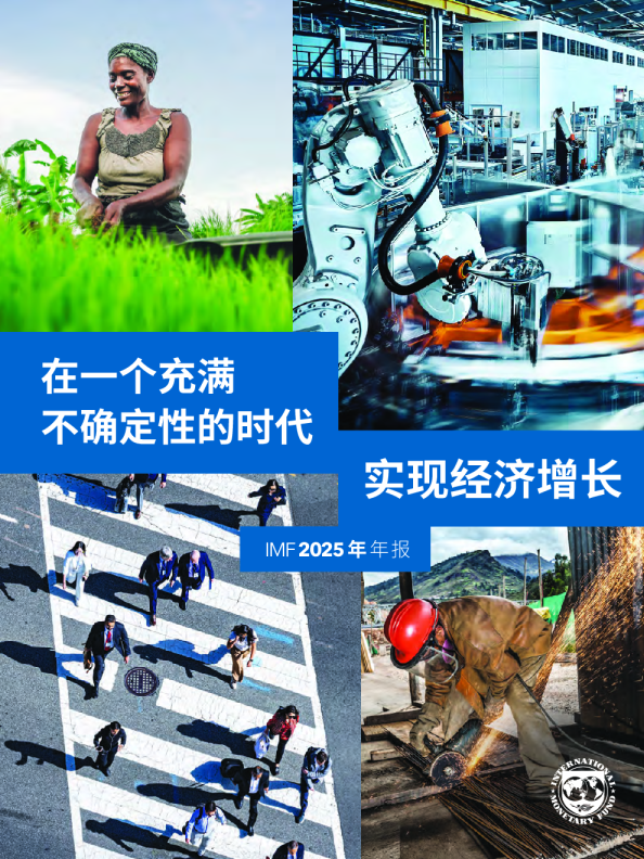 IMF 2025年年报