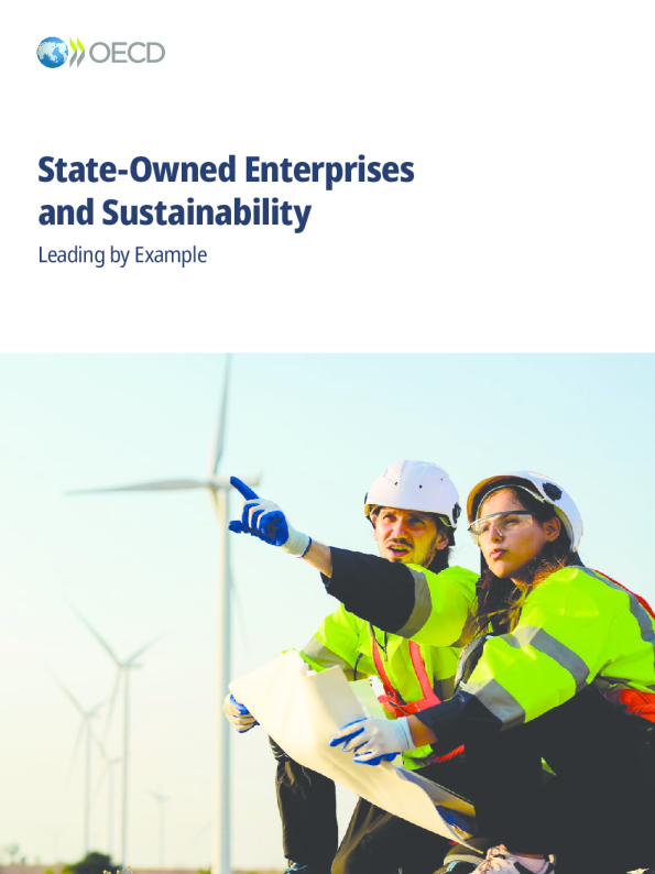 国有企业与可持续发展引领