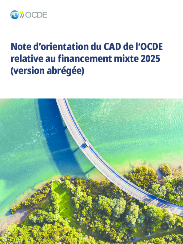 2025年OCDE混合融资指南（简版）