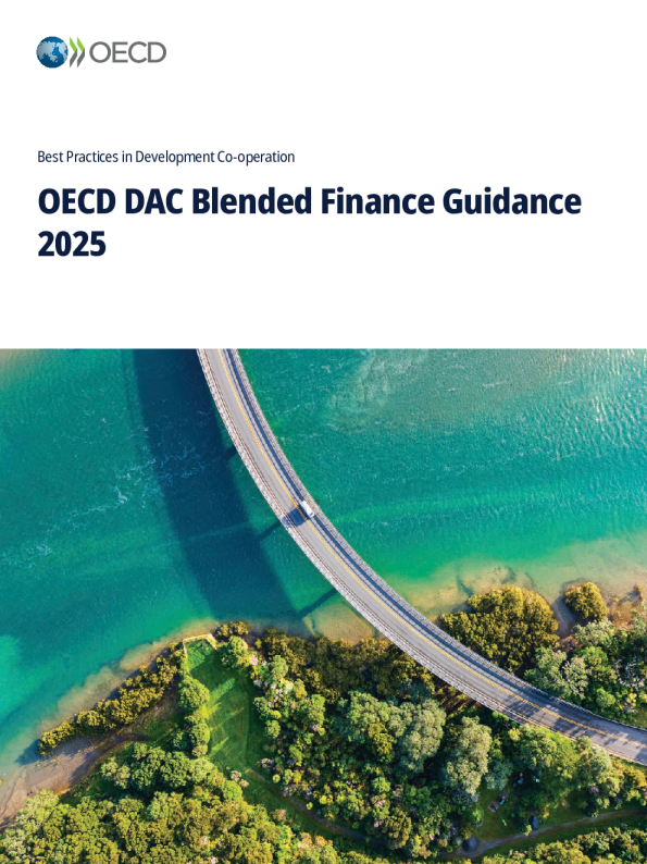 2025年OECD混合融资指南