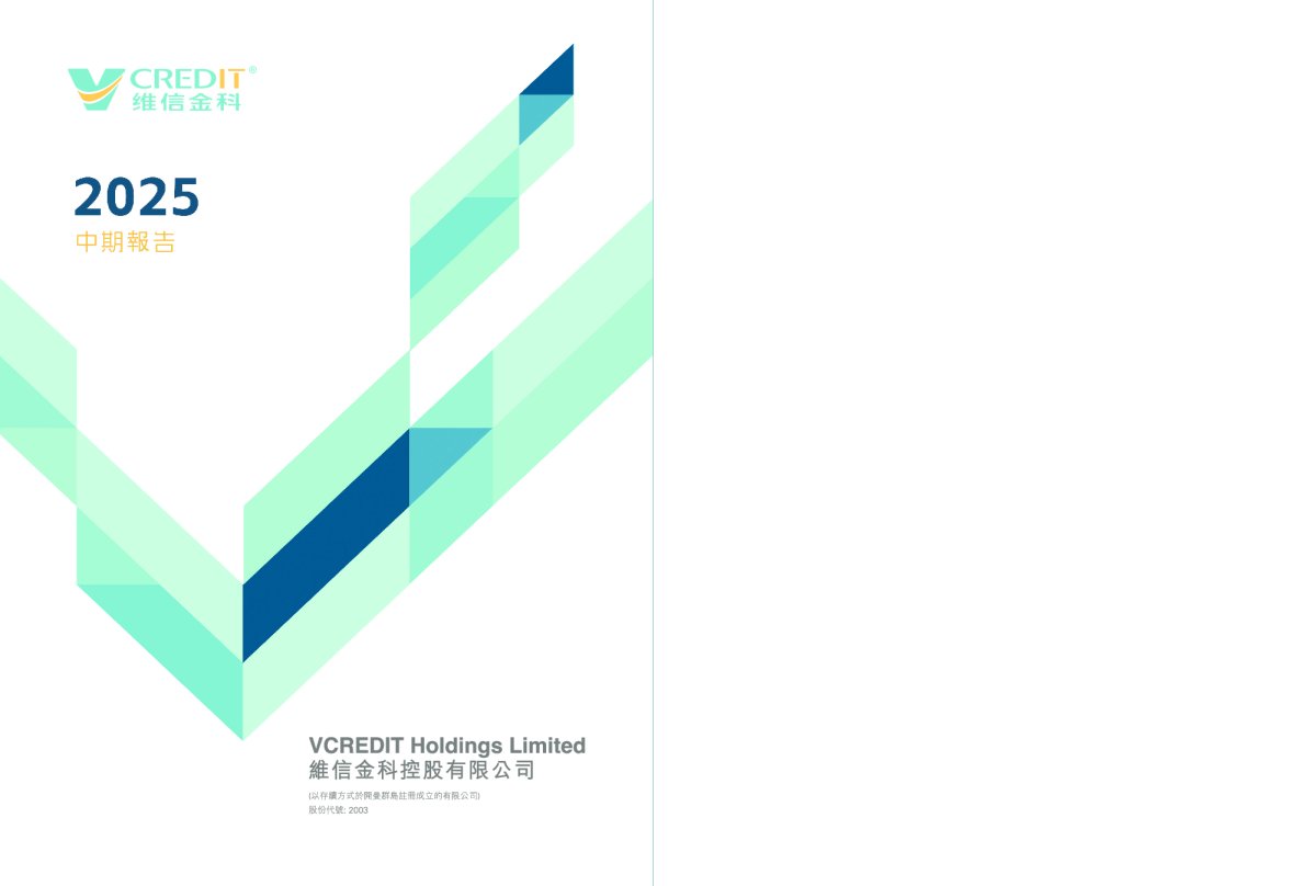 维信金科2025年中期报告
