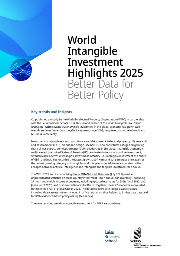 2025年世界无形投资亮点(英)2025