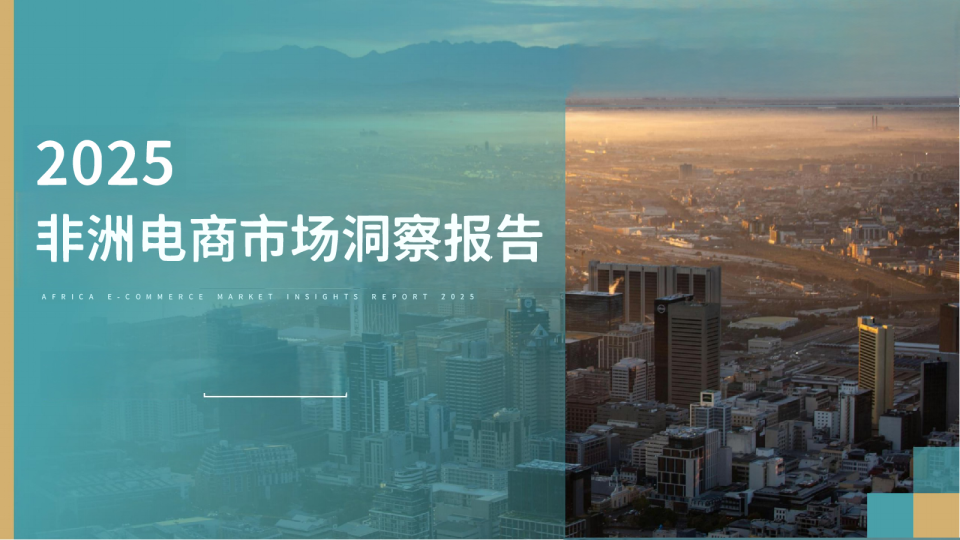 2025非洲电商市场洞察报告