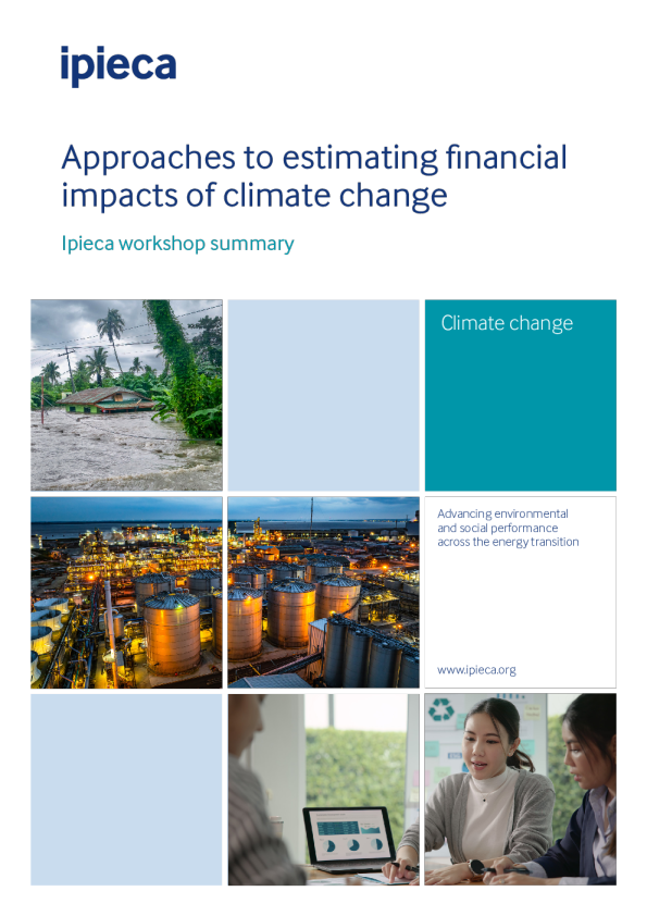 估计气候变化的财务影响的方法（英）