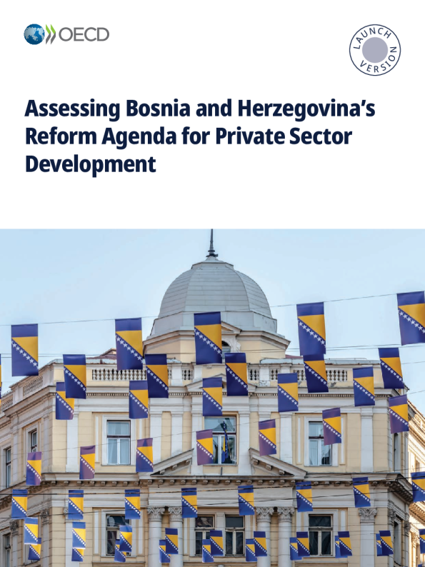 评估波斯尼亚和黑塞哥维那私营部门发展改革议程