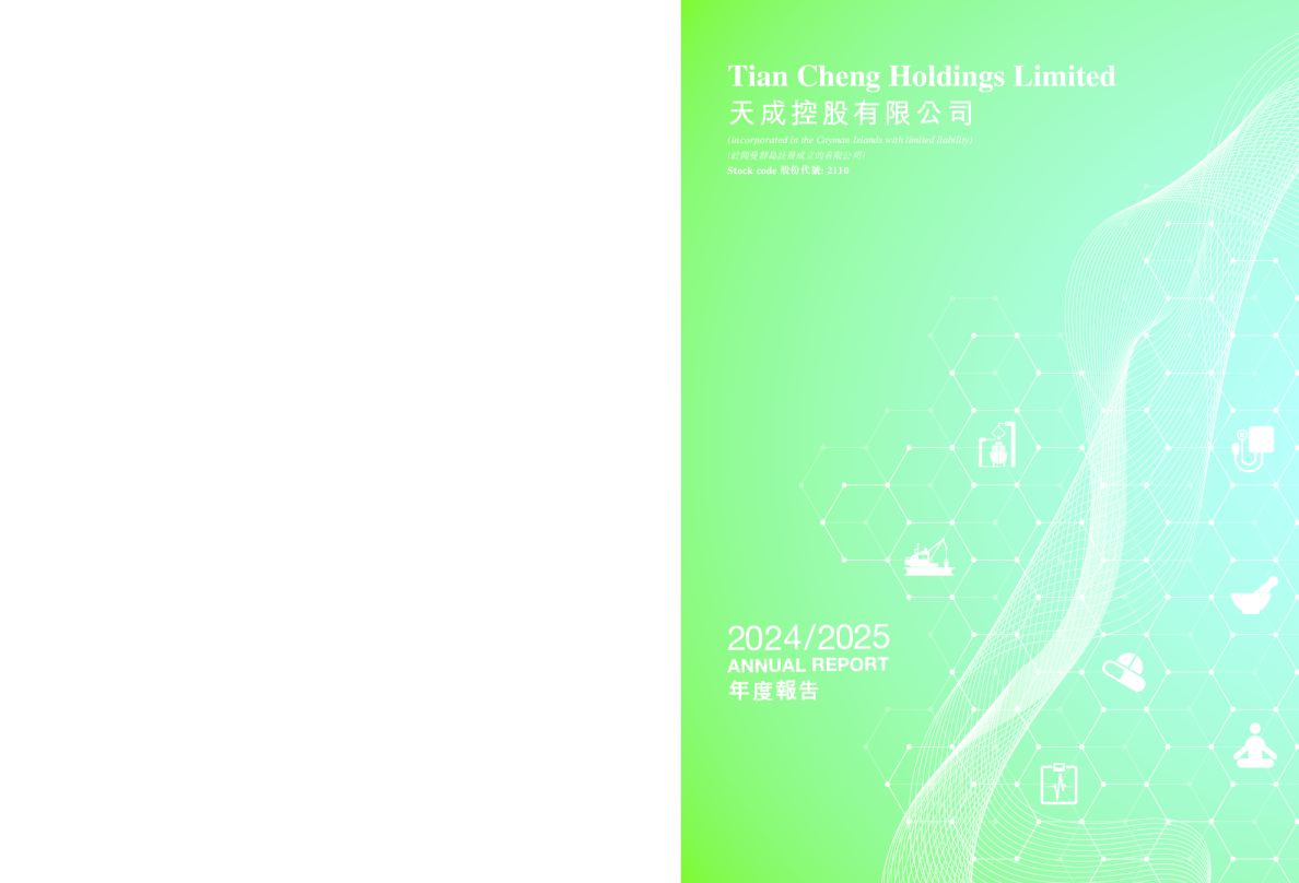 天成控股2024/2025 年报