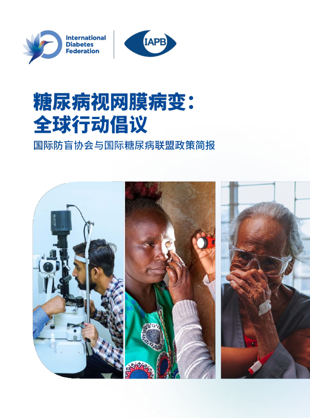 糖尿病视网膜病变：全球行动倡议