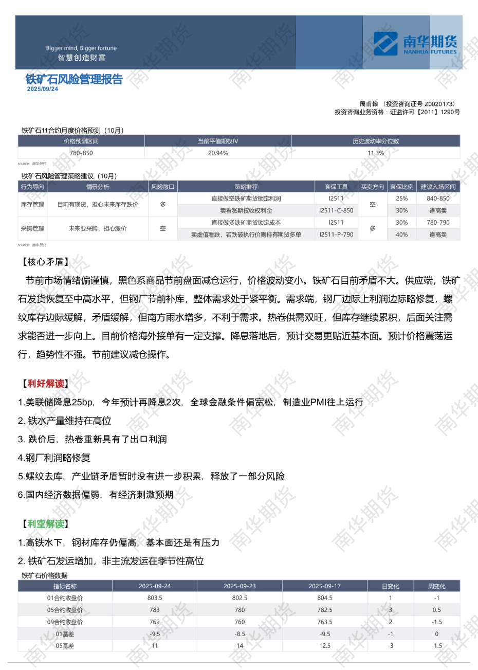 铁矿石风险管理报告