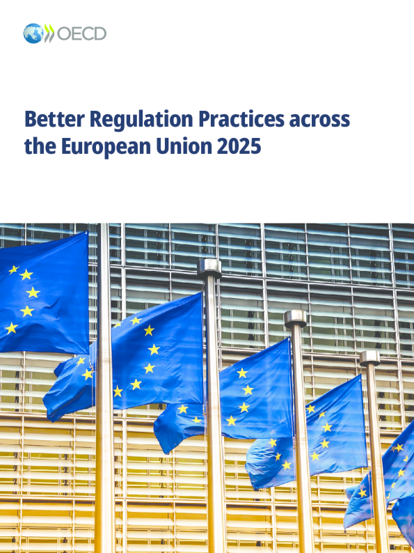 2025年欧盟更好的监管实践