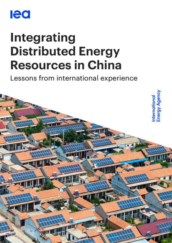 中国分布式能源资源整合：国际经验启示