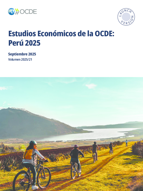 强迫症经济学研究：秘鲁2025